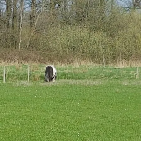 Ostfriesensonne 2 *
